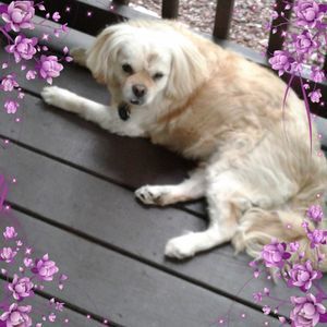 Meet your Posher, Deb